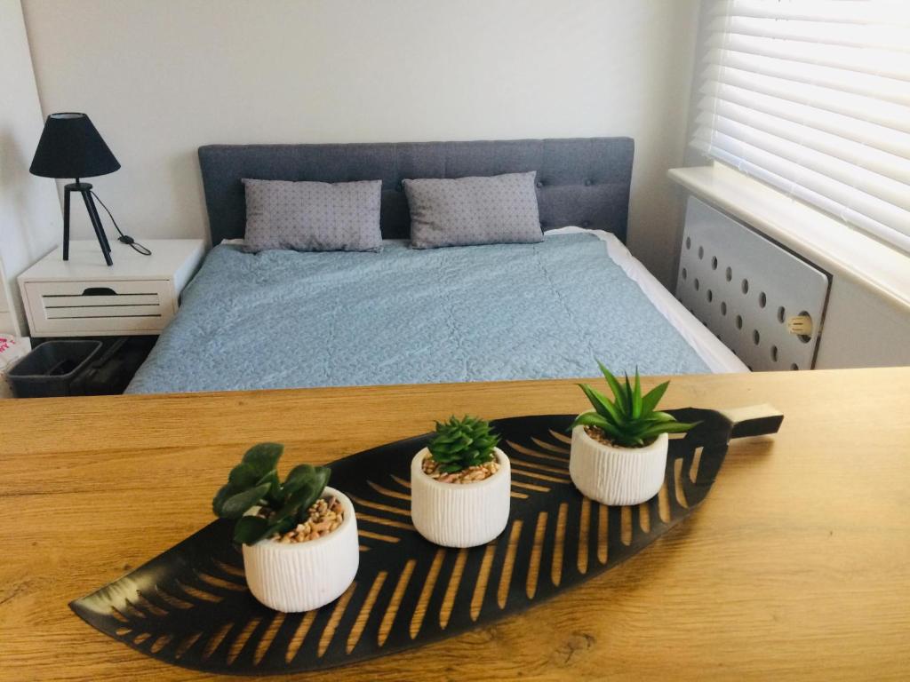 two potted plants on a table in a bedroom at Apartament Adrianna in Iława