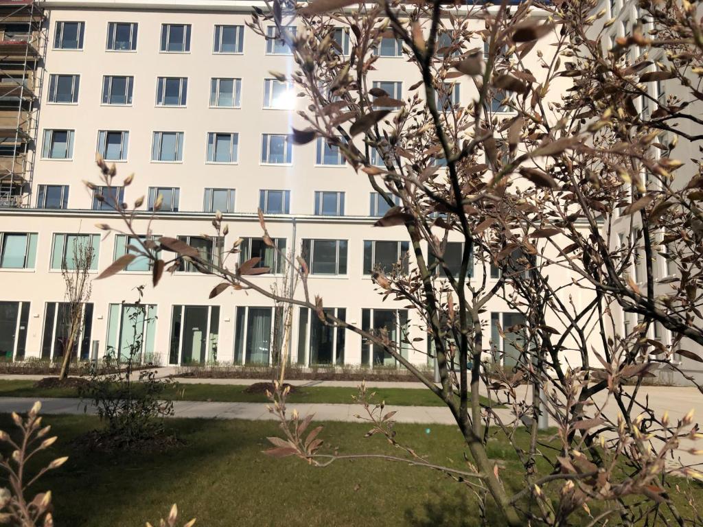 Zahrada ubytování Strandapartment Meeresrauschen Prora Binz EG