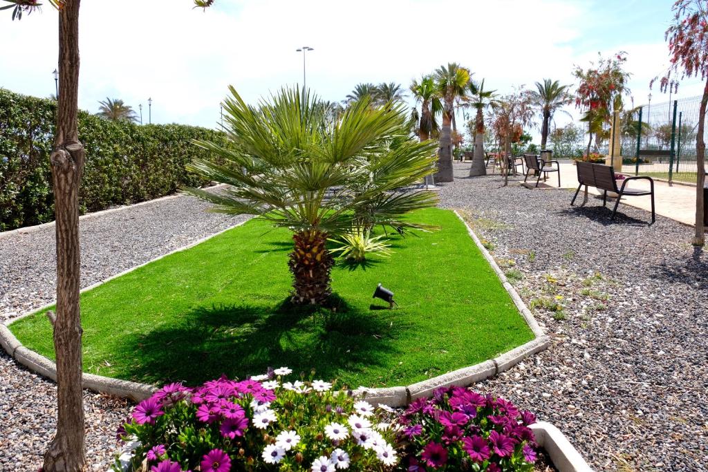Zahrada ubytování Seafront Penthouse Almeria