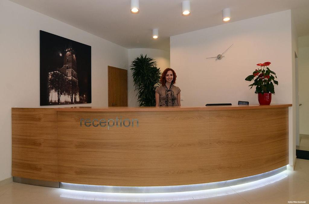 Hosté ubytování Hotel Bélier