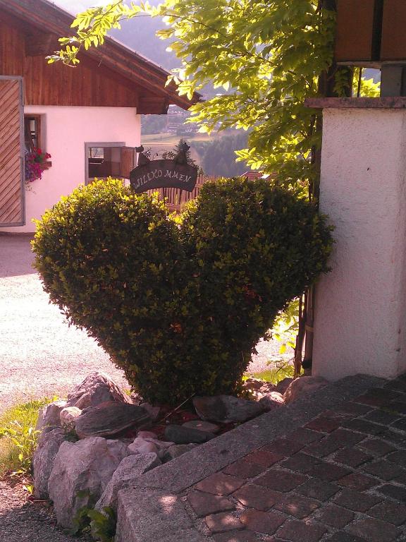 Zahrada ubytování Schlosserhof