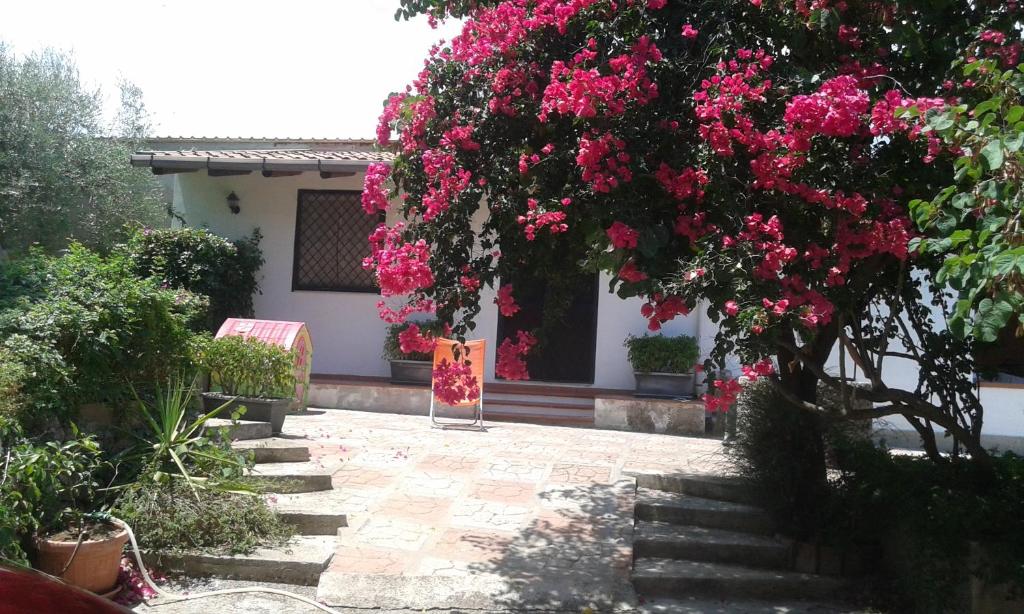 a garden with pink flowers on a building at VILLETTA ROSA IV strada Fegotto in Floridia