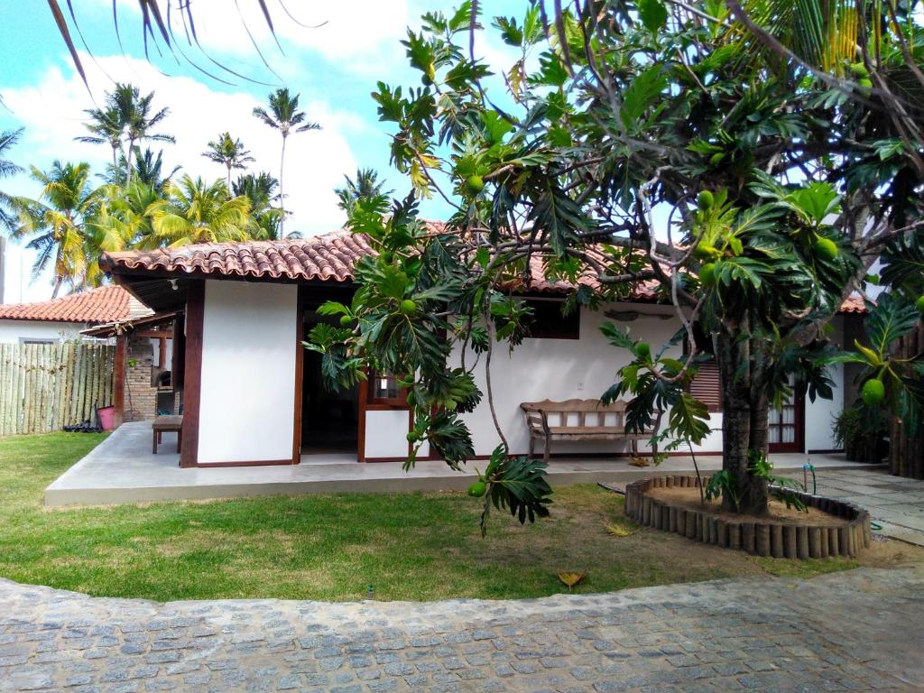  Pedaço de Bom