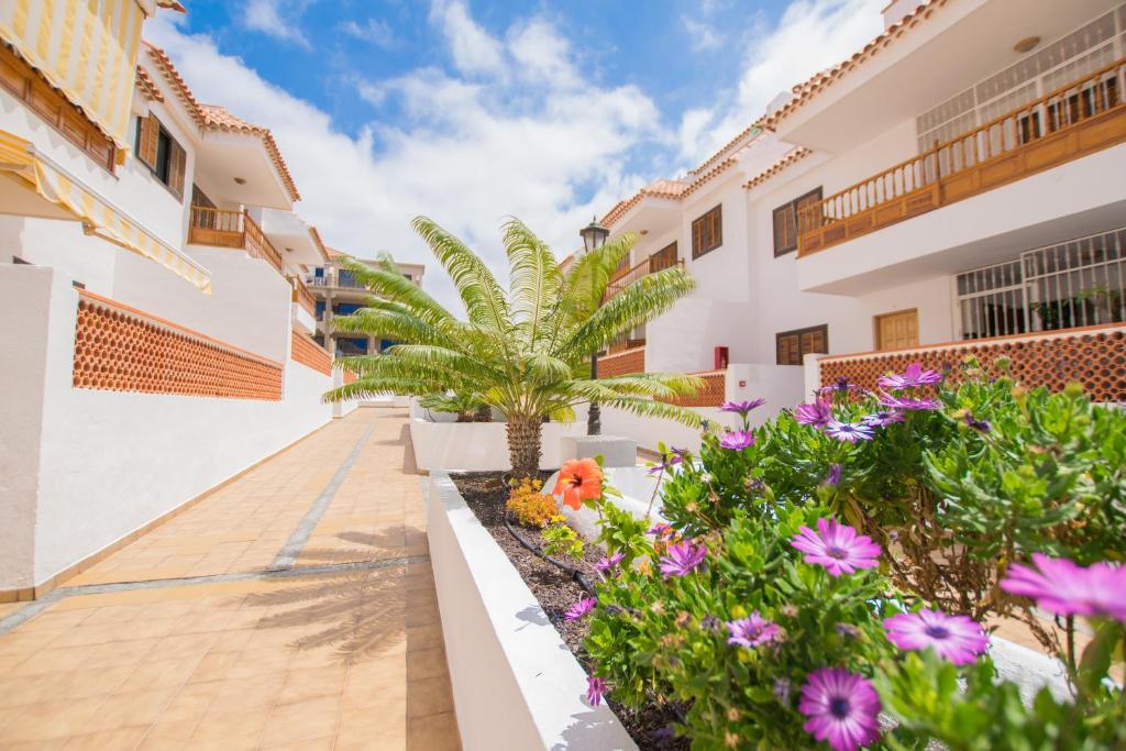 A garden outside El Cardon Las Vistas - TENESOL RENTALS