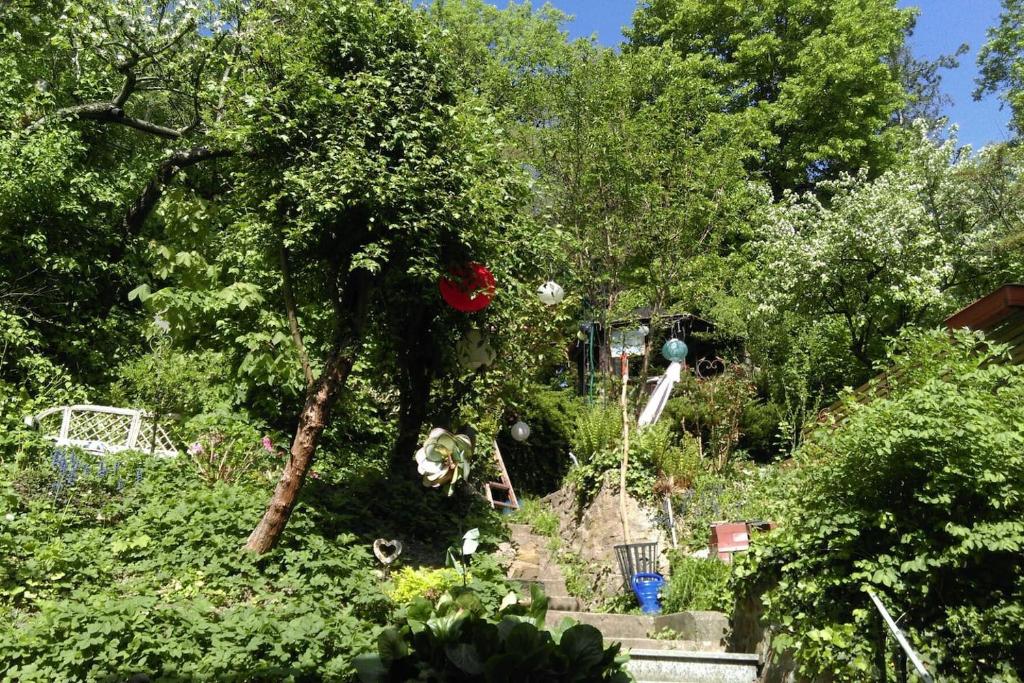 Vonkajšia záhrada v ubytovaní Ruhige, große Ferienwohnung am Mühlberg, Stadtrand
