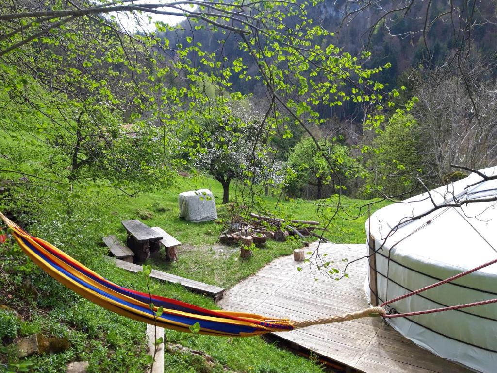 Příroda nedaleko luxury tent