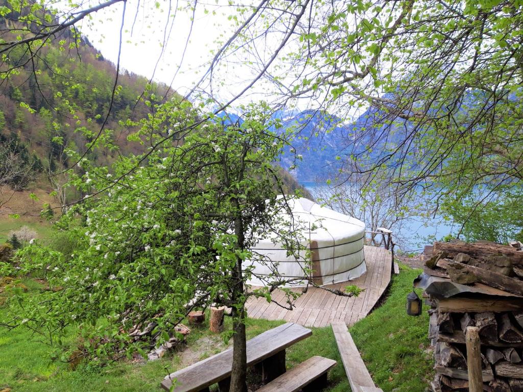 Příroda nedaleko luxury tent