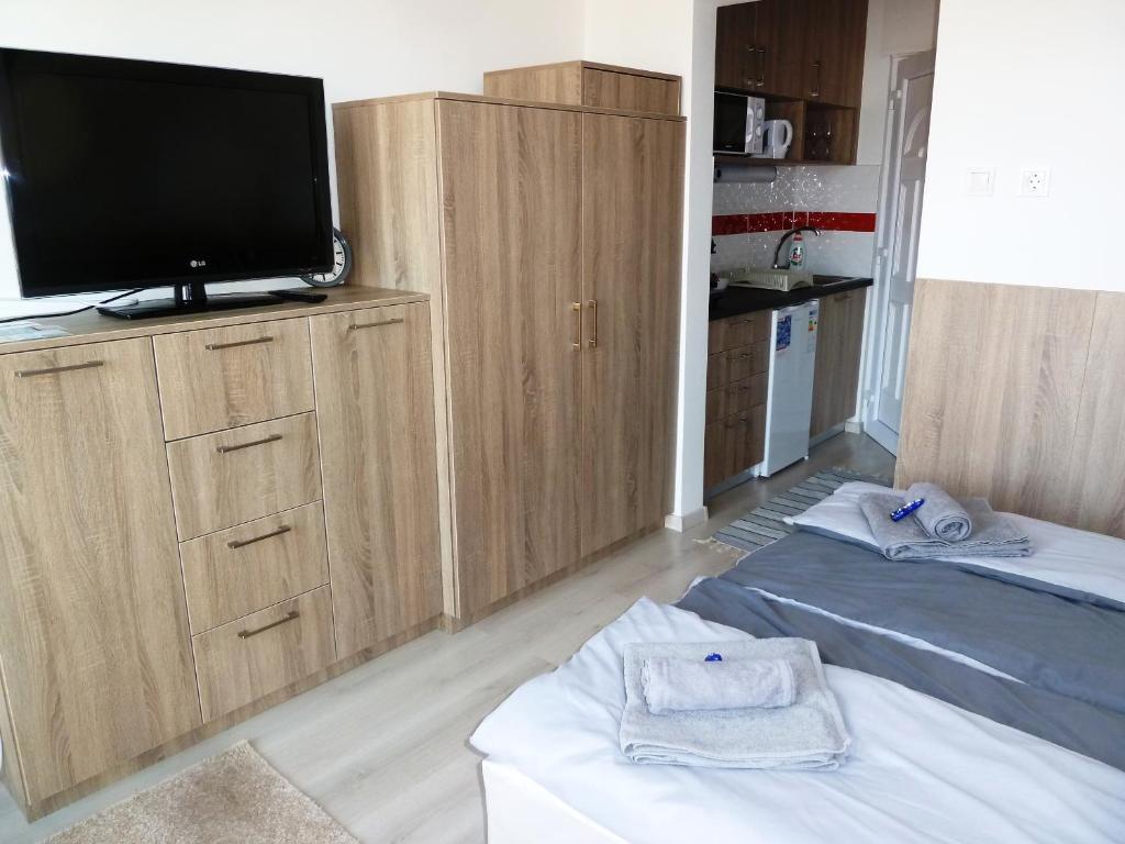 TV a/nebo společenská místnost v ubytování Sunrise Apartman