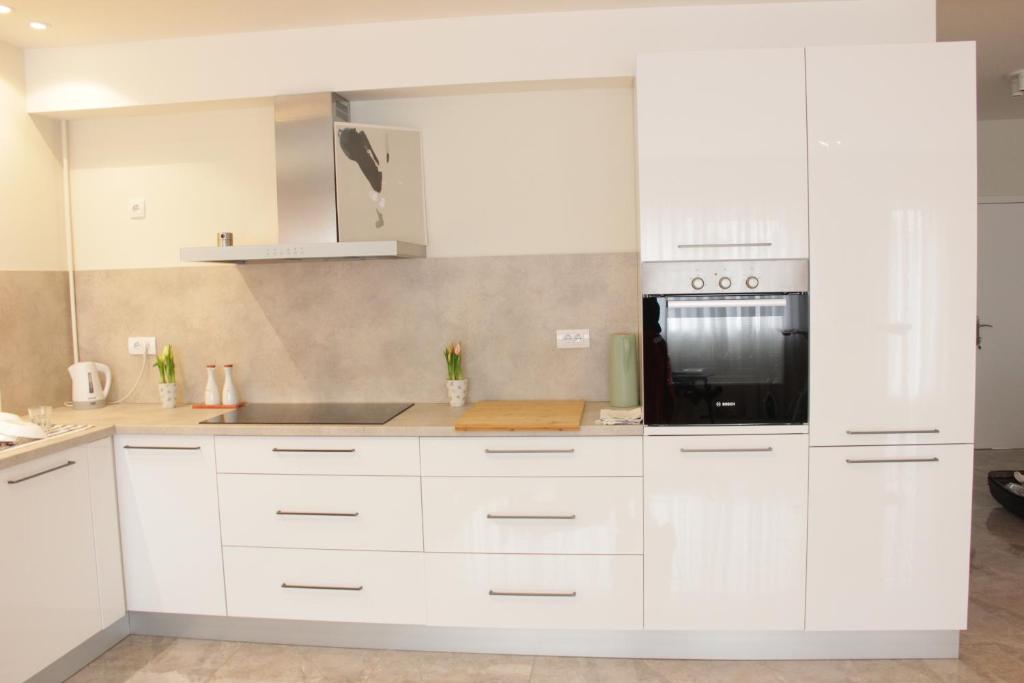 Kuchyň nebo kuchyňský kout v ubytování Lux House Olga