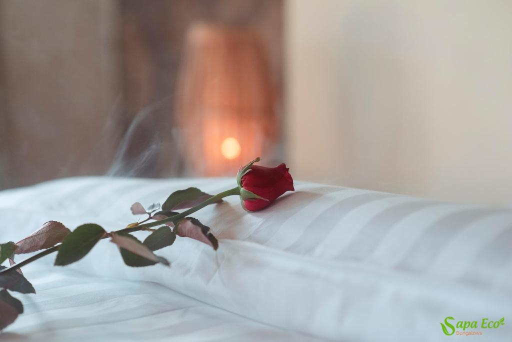 Sapa Eco Bungalows & Spa - 4