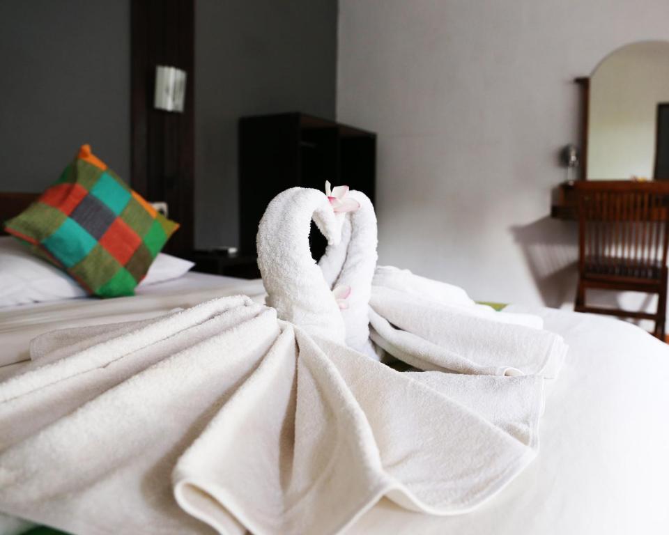 Kuri Garden Cottage - 16