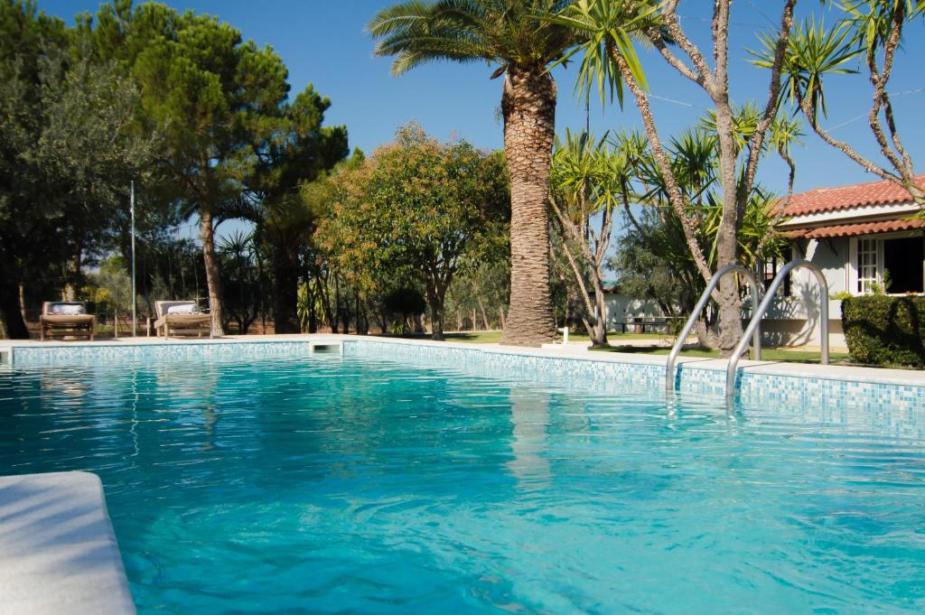 una piscina con palmeras en el fondo en Country Villa Peloponnese with tennis court and pool, en Zevgolateíon