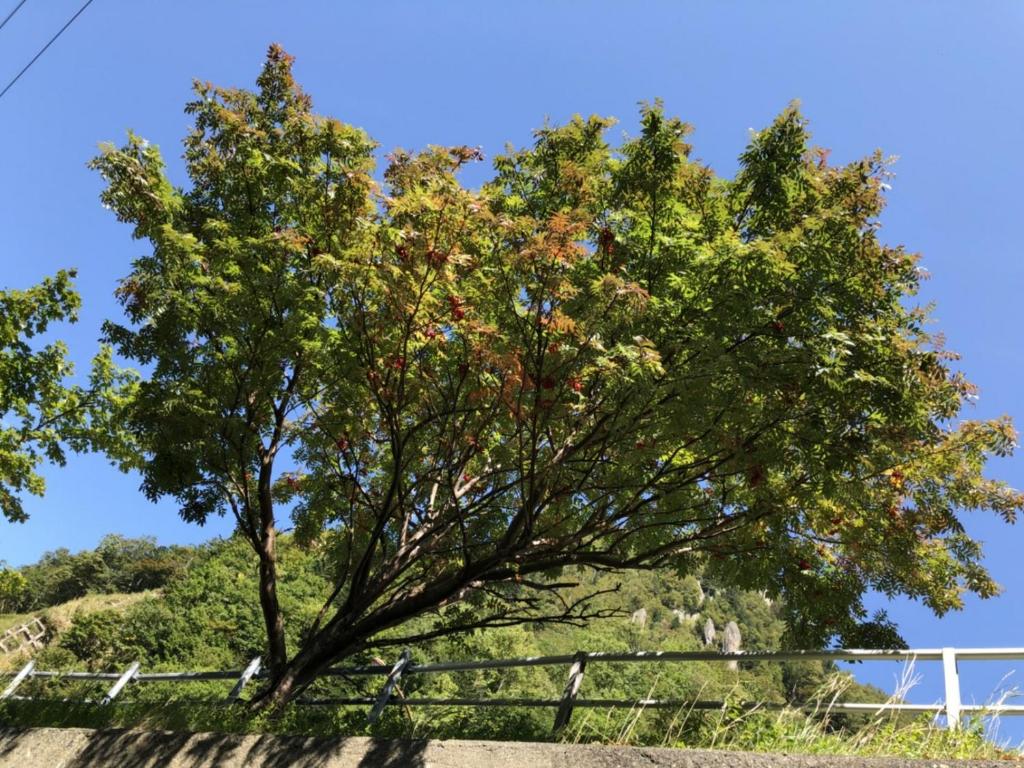Fotografie z fotogalerie ubytování Mount View Hotel v destinaci Kamikawa