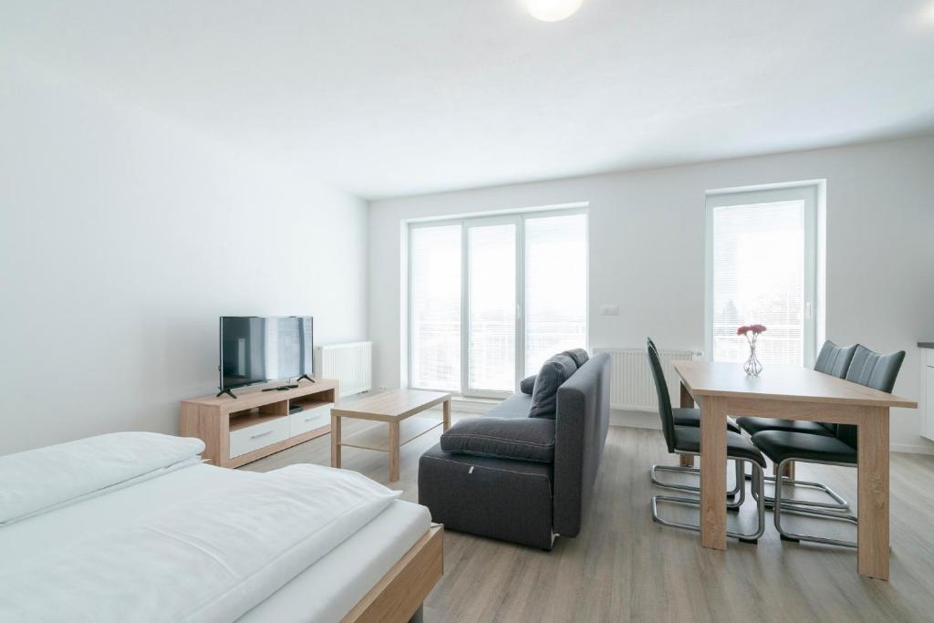 Televízia a/alebo spoločenská miestnosť v ubytovaní Apartmány Noviny