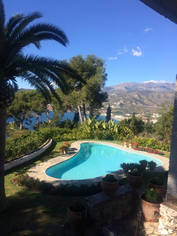 a swimming pool in a yard with potted plants at villaquinta in La Herradura