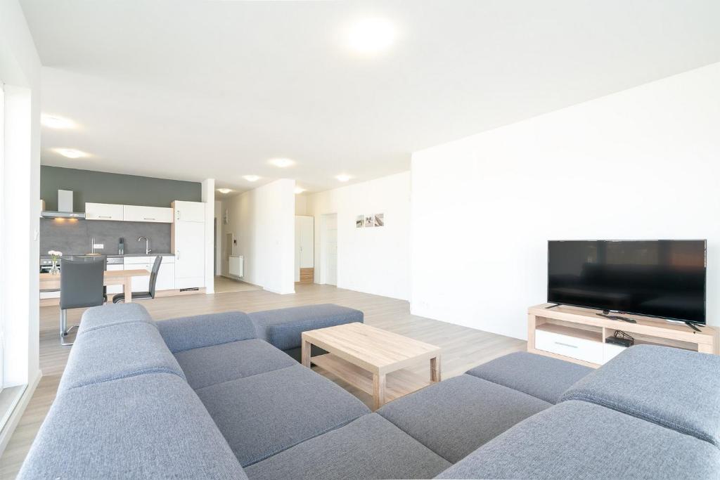 Televízia a/alebo spoločenská miestnosť v ubytovaní Apartmány Noviny