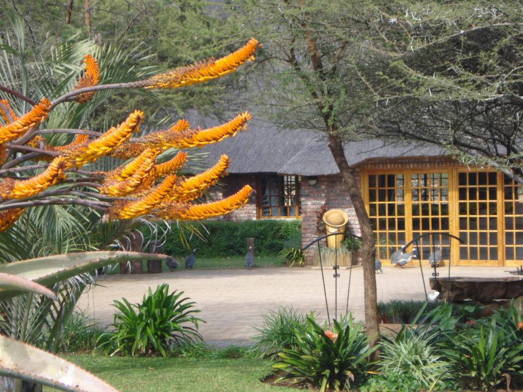 a tree with orange flowers in front of a building at Northgate Lodge in Louis Trichardt