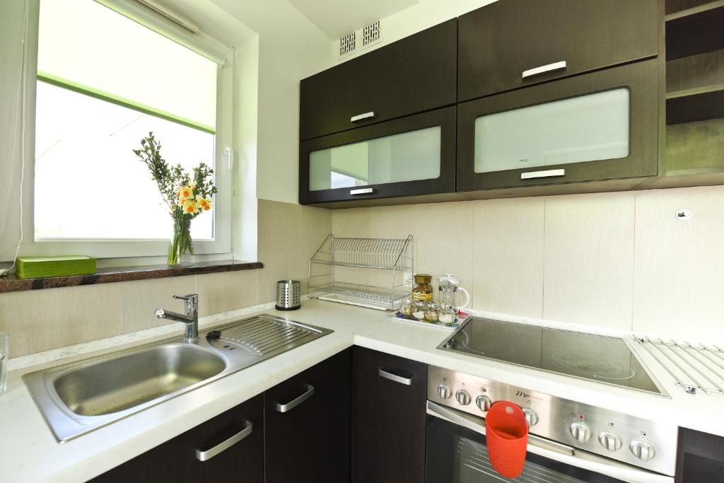 Kuchyňa alebo kuchynka v ubytovaní APARTAMENT CENTRUM - 2 z miejscem parkingowym