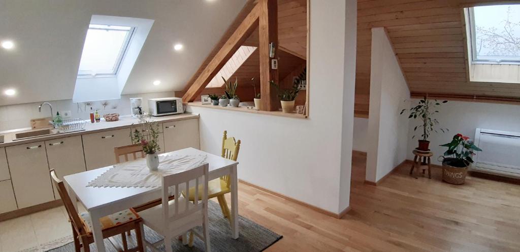 Kuchyň nebo kuchyňský kout v ubytování Prenočišča Angelin hram, Tiny Apartments