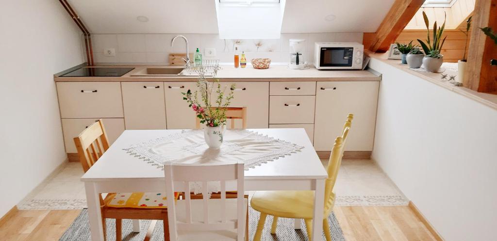 Kuchyň nebo kuchyňský kout v ubytování Prenočišča Angelin hram, Tiny Apartments