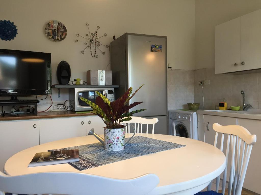 uma cozinha com uma mesa com uma planta em Casa Ferreri em Torre Grande