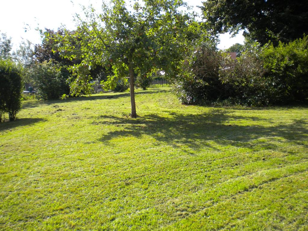 Zahrada ubytování Appartement à l'ange