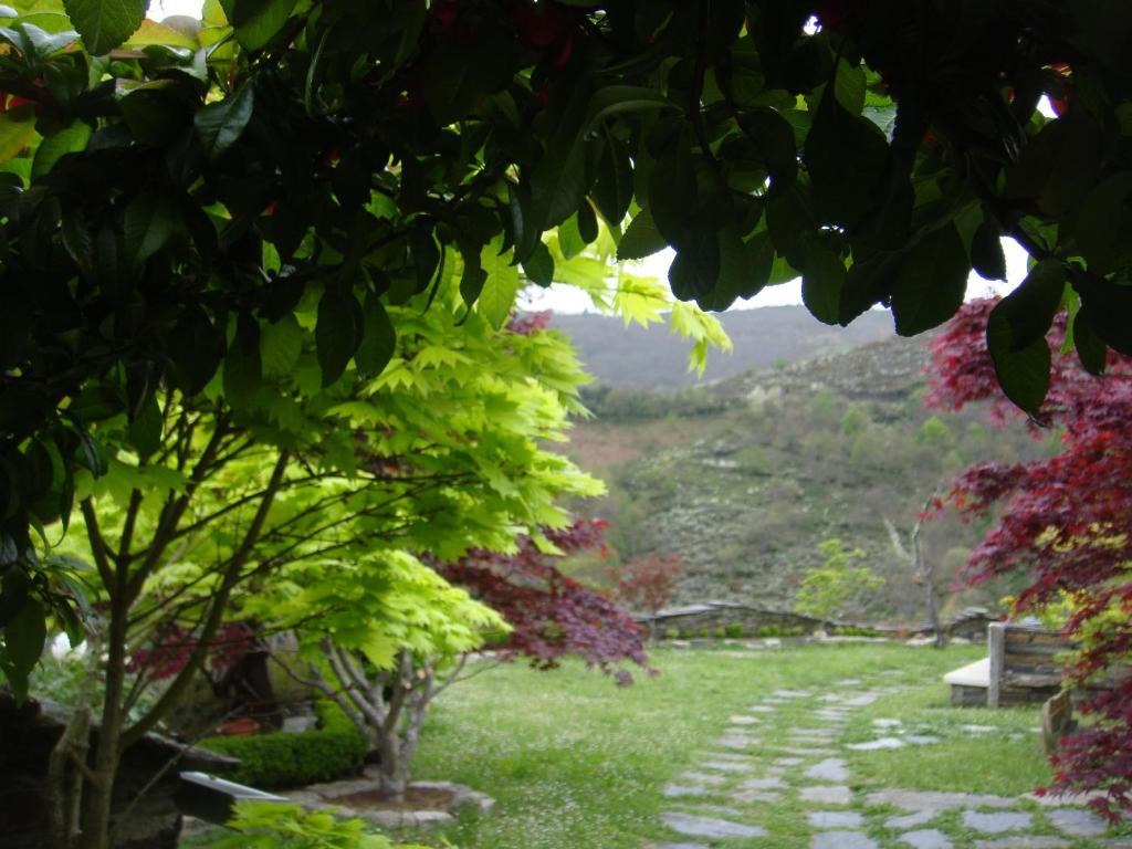 A garden outside Casa O´Crego
