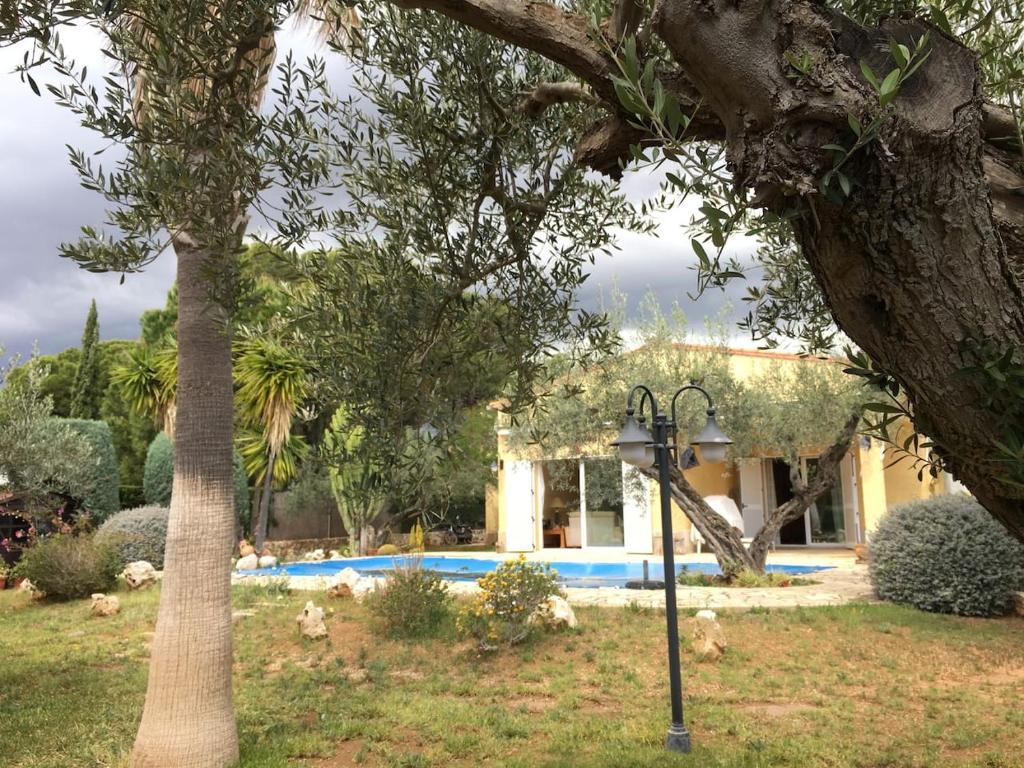 La Inopia, LAmpolla – Precios actualizados 2023