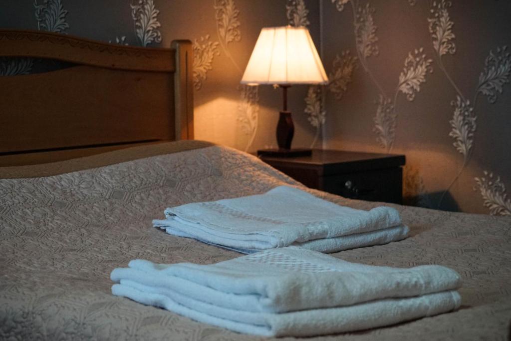 Postel nebo postele na pokoji v ubytování Family Hotel Mountain Scream