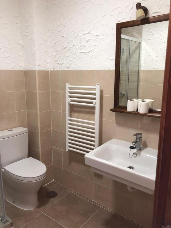 une salle de bains avec toilettes, lavabo et miroir dans l'établissement casa de las Viñas 1 y 2, à Navaluenga