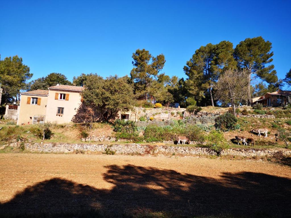 a group of cows grazing in a field next to a house at Les Git'Anes de Pontevès in Pontevès