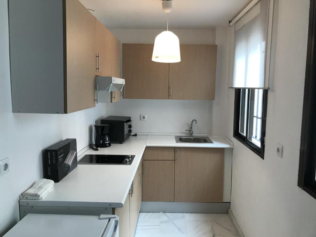 eine kleine Küche mit einer Spüle und einer Mikrowelle in der Unterkunft 1.1 Apartamentos Arguiñan in Córdoba