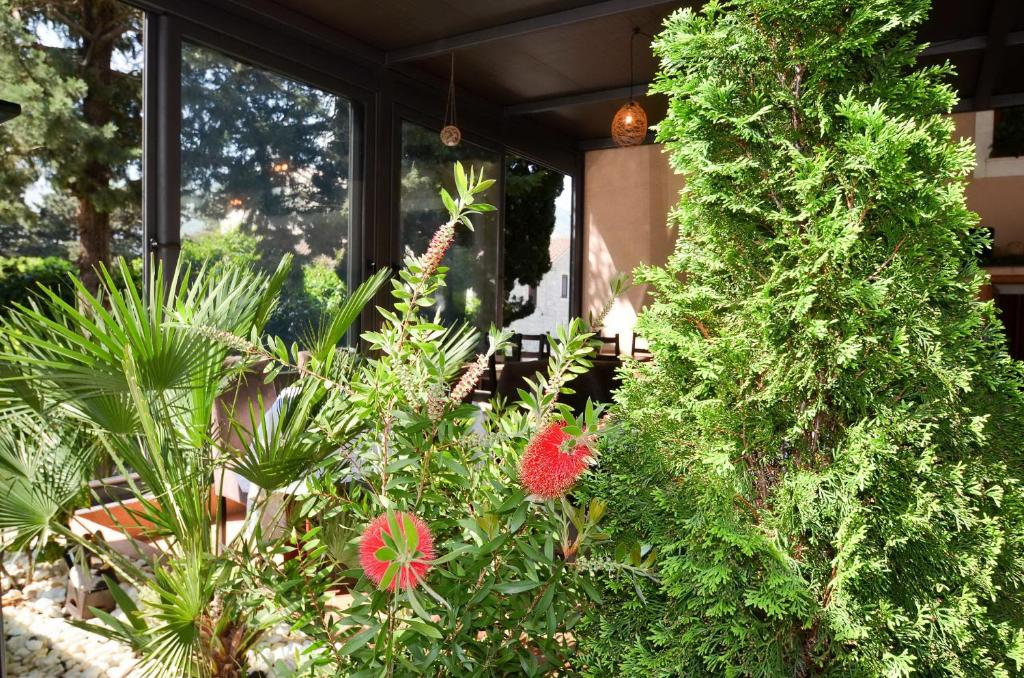 Bocche di Cattaro Apartments - 15