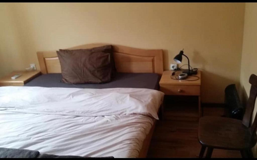 a bedroom with a bed and a desk with a lamp at Zlatna ribka in Kokolyane