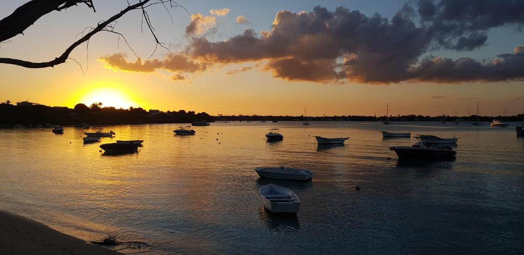 a group of boats in the water at sunset at Bella Vista Mauritius in Grand Baie