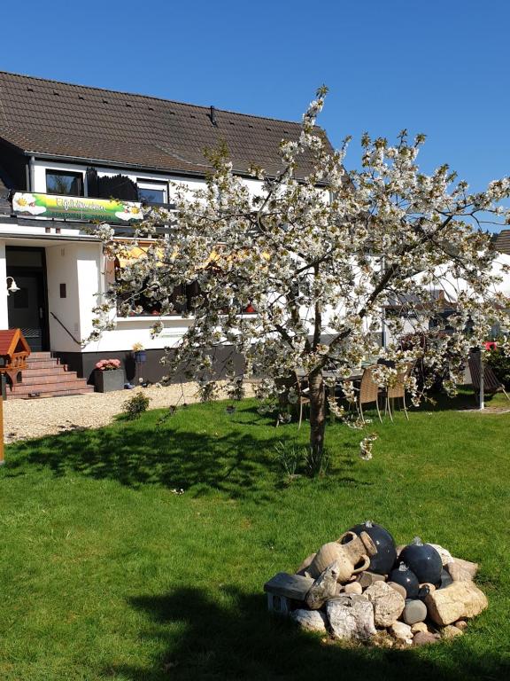 un montón de rocas en la hierba bajo un árbol en Eifelblümchen en Heimbach