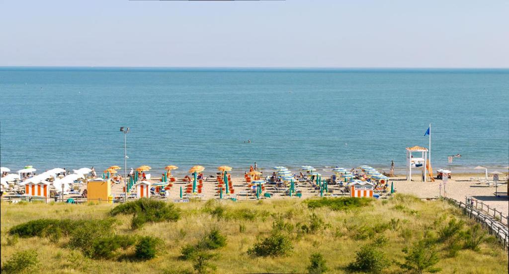 Příroda nedaleko hotelu