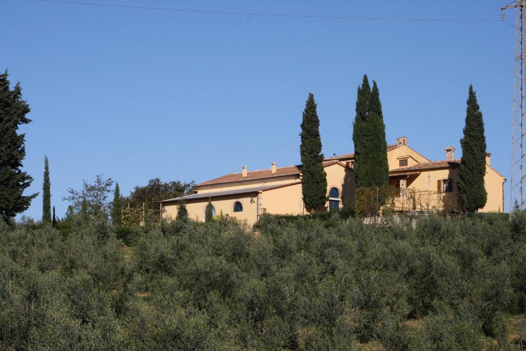 a house on top of a hill with trees at Donzellino in Massa Marittima