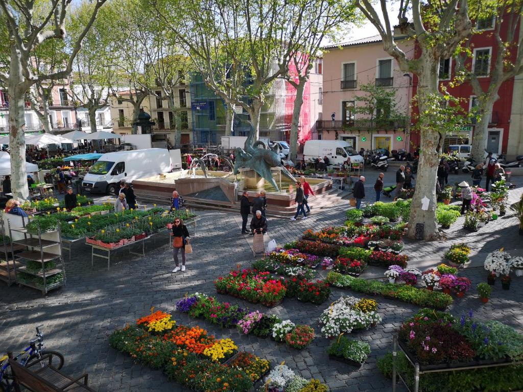 Appartement Centre Ville