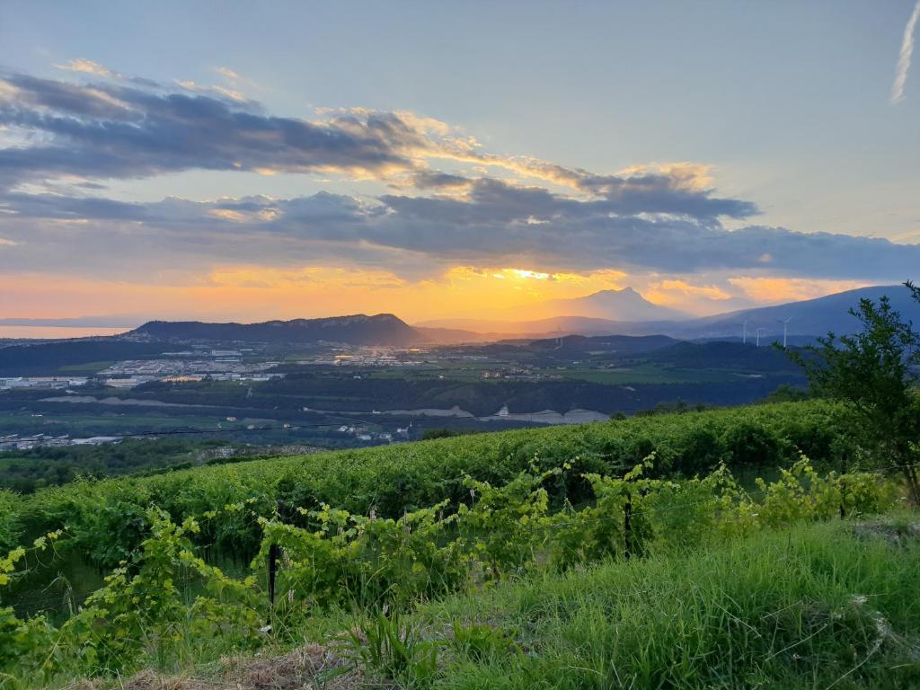 a sunset on a hill with mountains in the background at "Cortela" in SantʼAmbrogio di Valpolicella