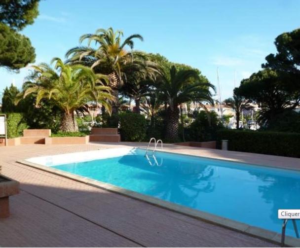 une grande piscine avec des palmiers en arrière-plan dans l'établissement Appartement 2 pièces Cap d'Agde, au Cap d'Agde