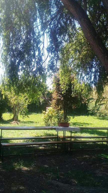 Zahrada ubytování Hostal Casa Galerna de La Montaña
