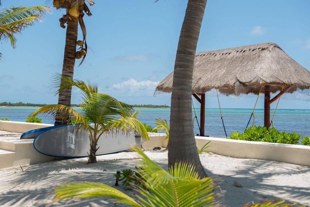 a surfboard on a beach with palm trees and the ocean at CASA TORTUGA, Soliman Bay in Tulum