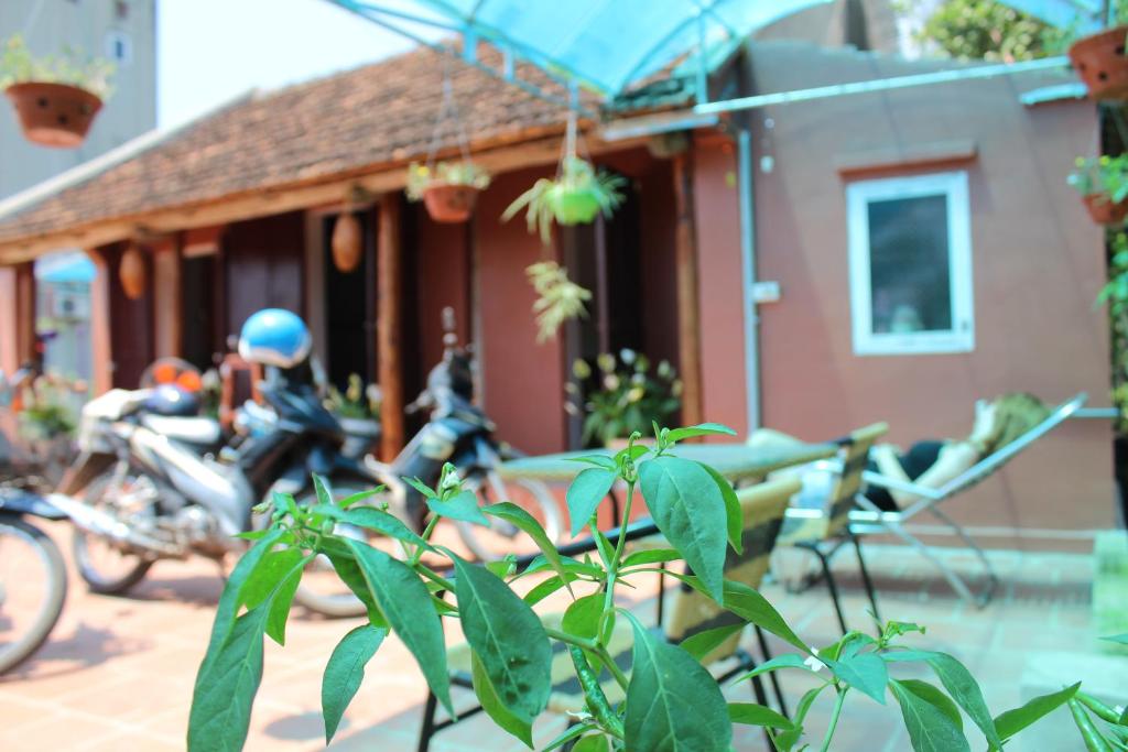 LITTLE TRANG AN HOMESTAY - 1
