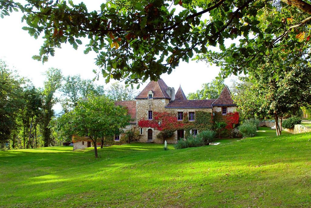 duży dom na polu z zieloną trawą w obiekcie Le Manoir du Rocher w mieście Domme