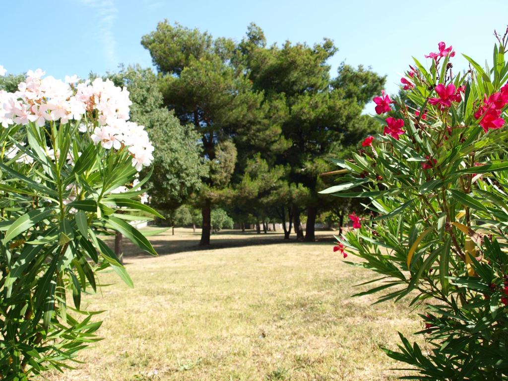 Hotel Jadran - Resim 38