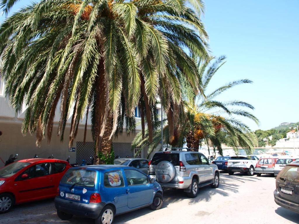 Fotografie z fotogalerie ubytování Hotel Jadran ve Splitu
