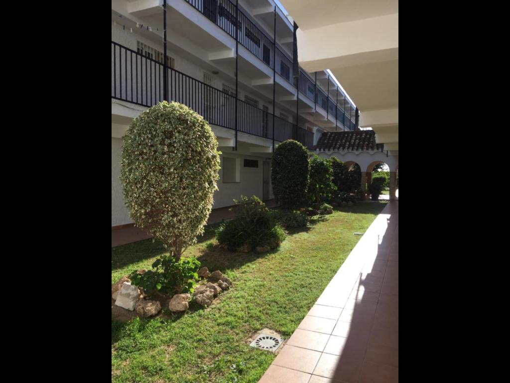 A garden outside Lacatorce Apartment