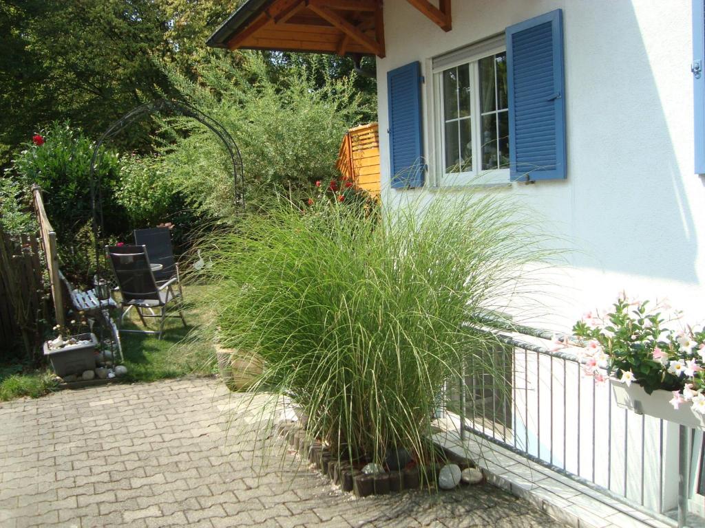 Taman di luar Ferienwohnung Weiser