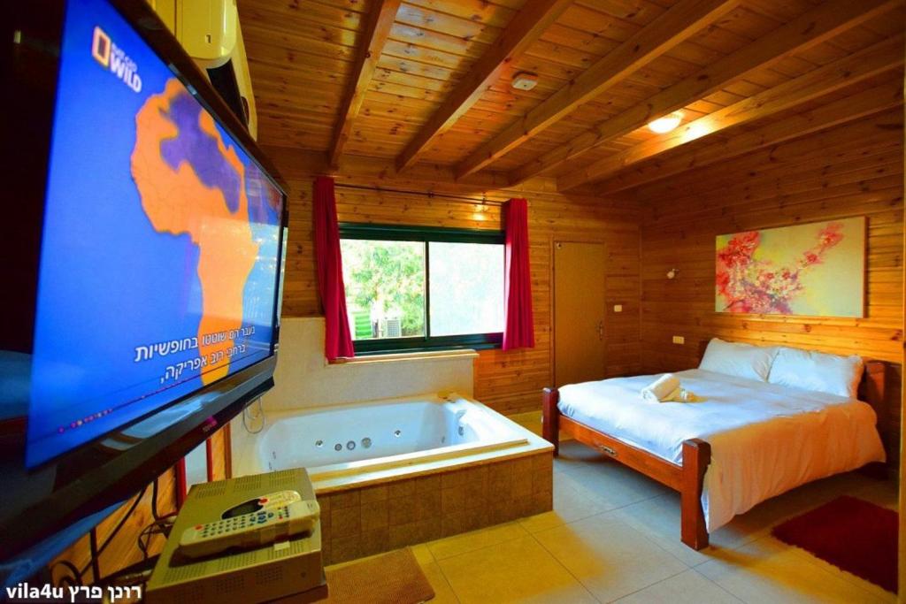 a bedroom with a bed and a tv and a tub at Villa Joe in Peqi‘in H̱adasha